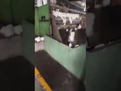 कस्टम पॉली स्टेपल फाइबर नवीकरणीय 100% पॉलिएस्टर फाइबर मध्यम फाइबर क्रिम