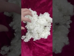 एचसीएस फाइबर 1